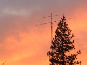 IMG_1732